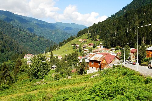 ÖZEL TURLAR